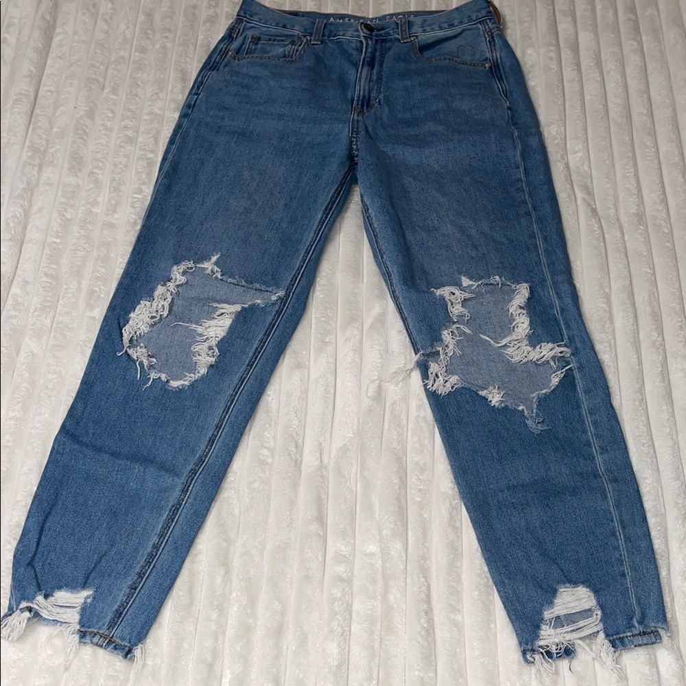 American Eagle Mom Jean | Size 6 Regular